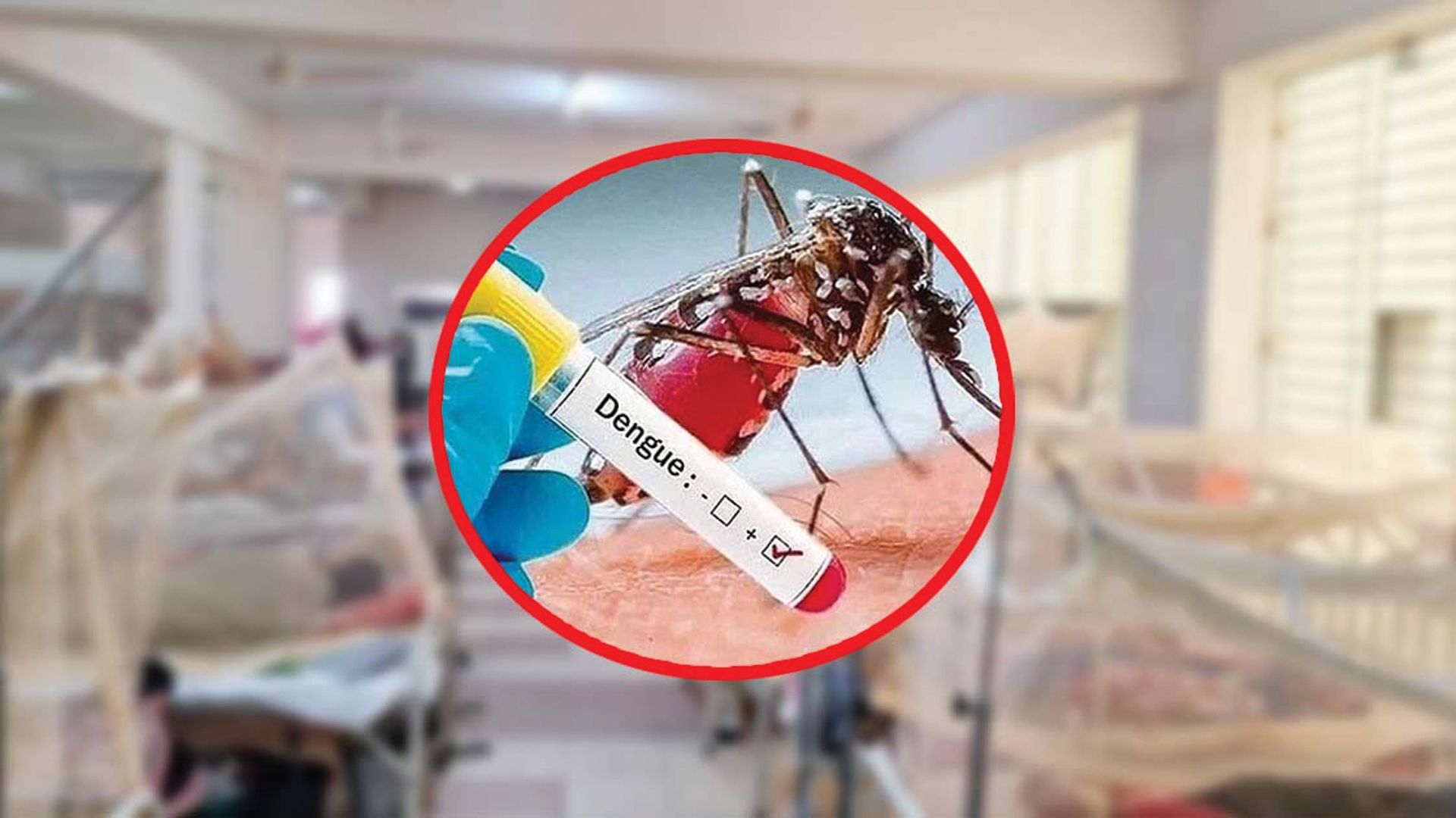 ডেঙ্গুতে একদিনে রেকর্ড ১০ মৃত্যু, হাসপাতালে ভর্তি ১ হাজার ৯৯৬